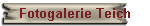 Fotogalerie Teich