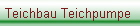 Teichbau Teichpumpe 