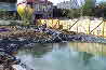 Schwimmteich-10